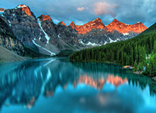 乐鱼中国：让海洋娱乐走进日常生活的创新平台