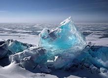 乐鱼中国:让海洋娱乐走进日常生活的创新平台